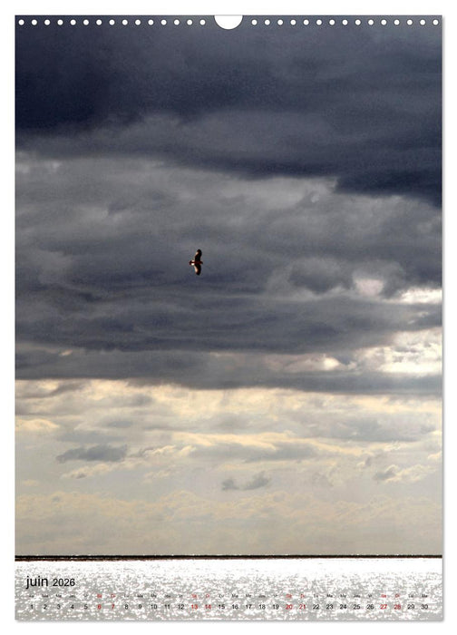 La mouette (CALVENDO Calendrier mensuel 2026)