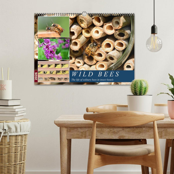 Wild bees - The life of solitary bees in insect hotels (CALVENDO Monthly Calendar 2026)