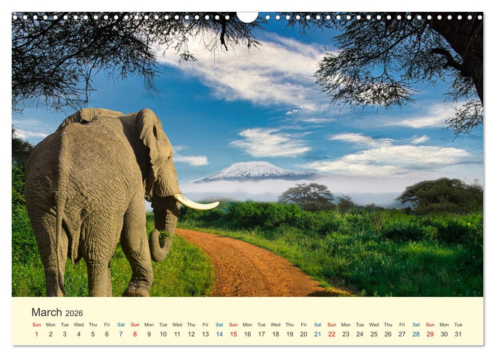 Wonderful Kenya (CALVENDO Monthly Calendar 2026)
