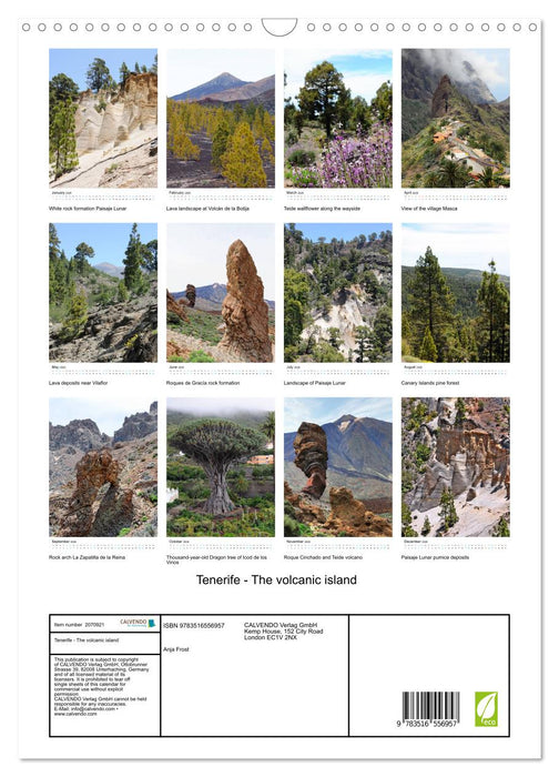 Tenerife - The volcanic island (CALVENDO Monthly Calendar 2026)