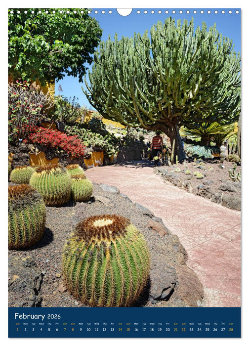 Gran Canaria - Holiday island for sun lovers (CALVENDO Monthly Calendar 2026)