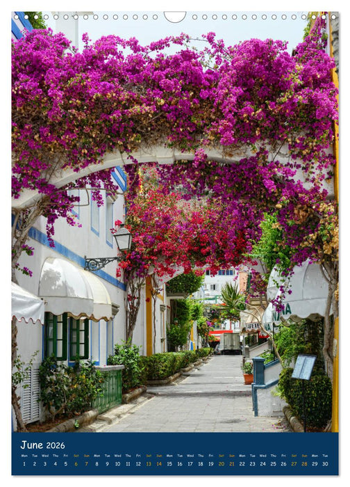 Gran Canaria - Holiday island for sun lovers (CALVENDO Monthly Calendar 2026)