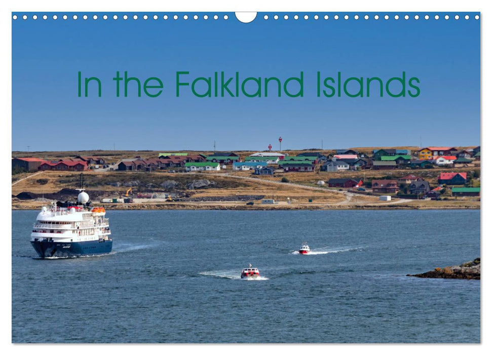 In the Falkland Islands (CALVENDO Monthly Calendar 2026)
