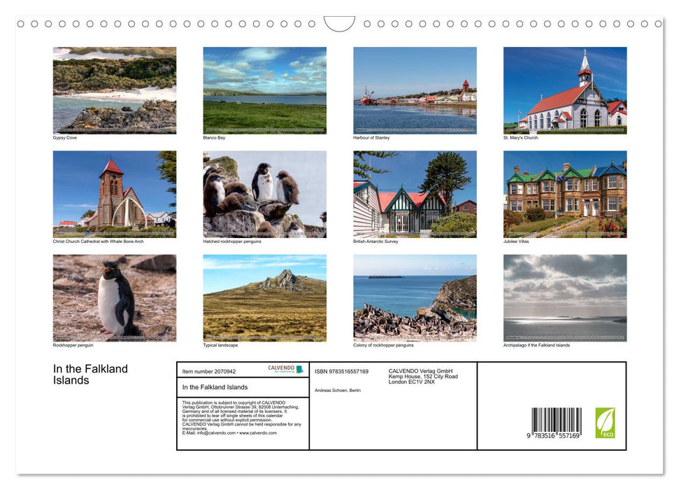 In the Falkland Islands (CALVENDO Monthly Calendar 2026)