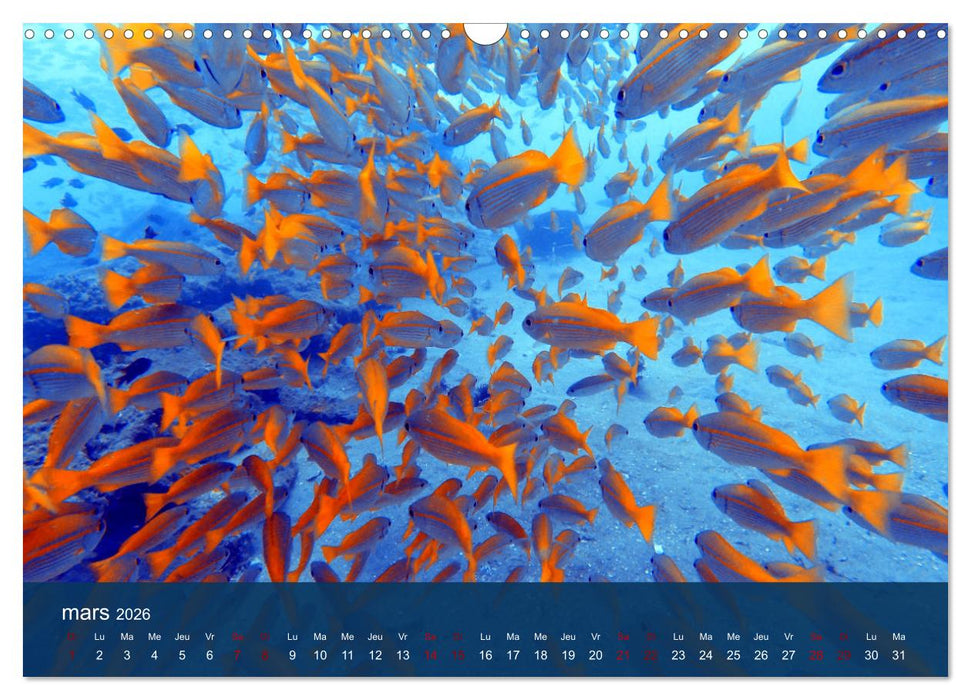 Autour de Nosy Be (CALVENDO Calendrier mensuel 2026)