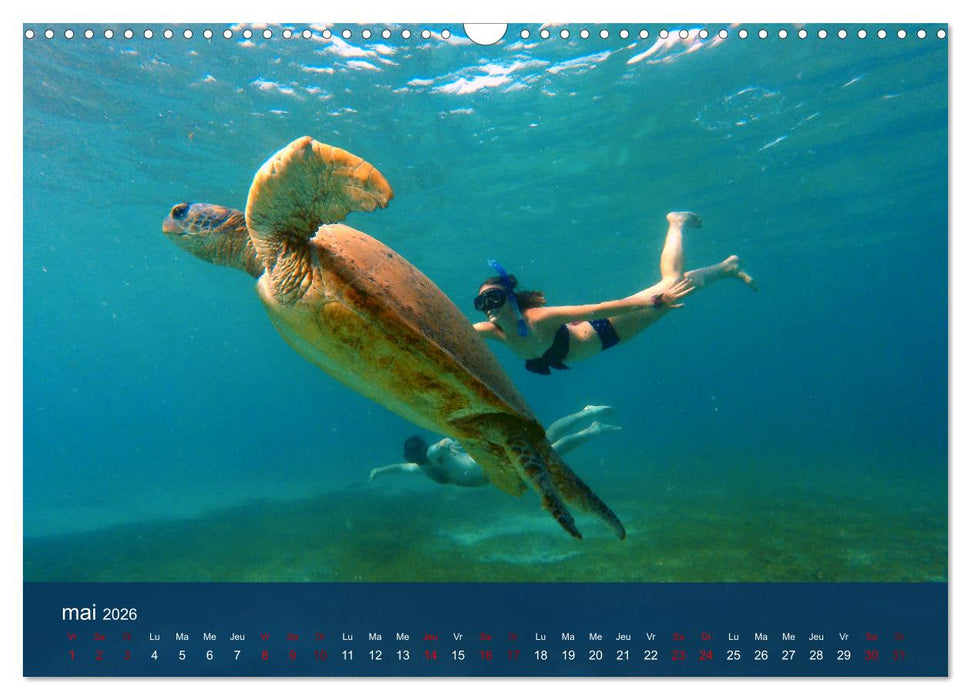 Autour de Nosy Be (CALVENDO Calendrier mensuel 2026)