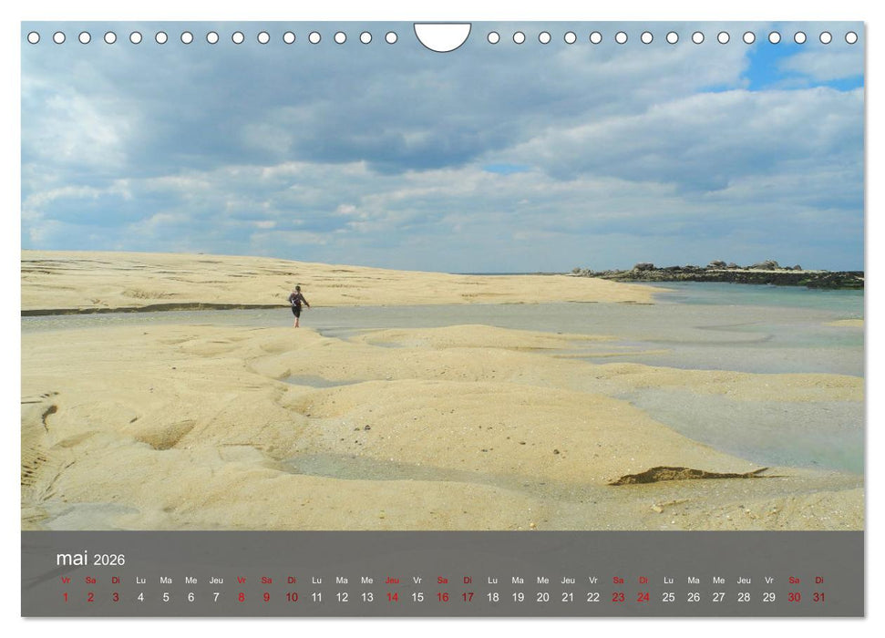 LE SENTIER DES DOUANIERS. Parcourir ce joyau breton. (CALVENDO Calendrier mensuel 2026)
