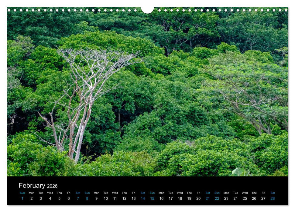 Beautiful Mauritius (CALVENDO Monthly Calendar 2026)