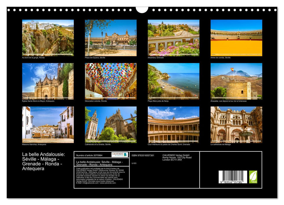 La belle Andalousie: Séville - Málaga - Grenade - Ronda - Antequera (CALVENDO Calendrier mensuel 2026)