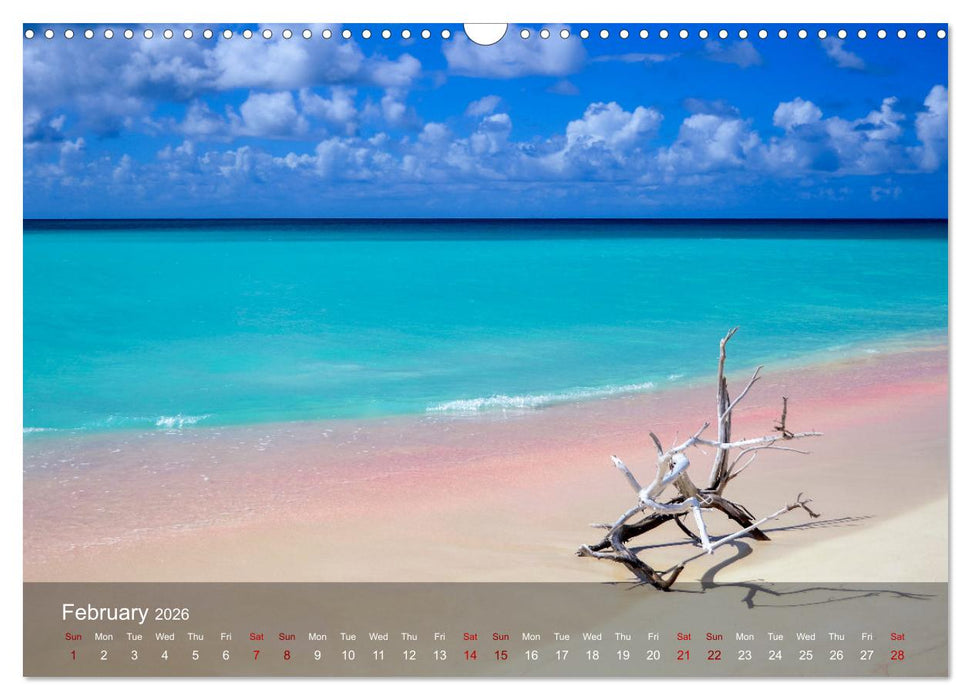 Dream Beaches worldwide (CALVENDO Monthly Calendar 2026)