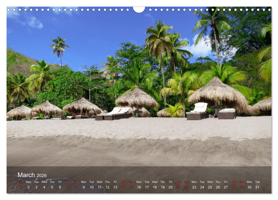 Dream Beaches worldwide (CALVENDO Monthly Calendar 2026)