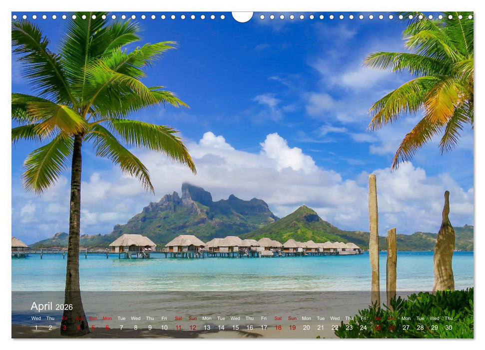 Dream Beaches worldwide (CALVENDO Monthly Calendar 2026)