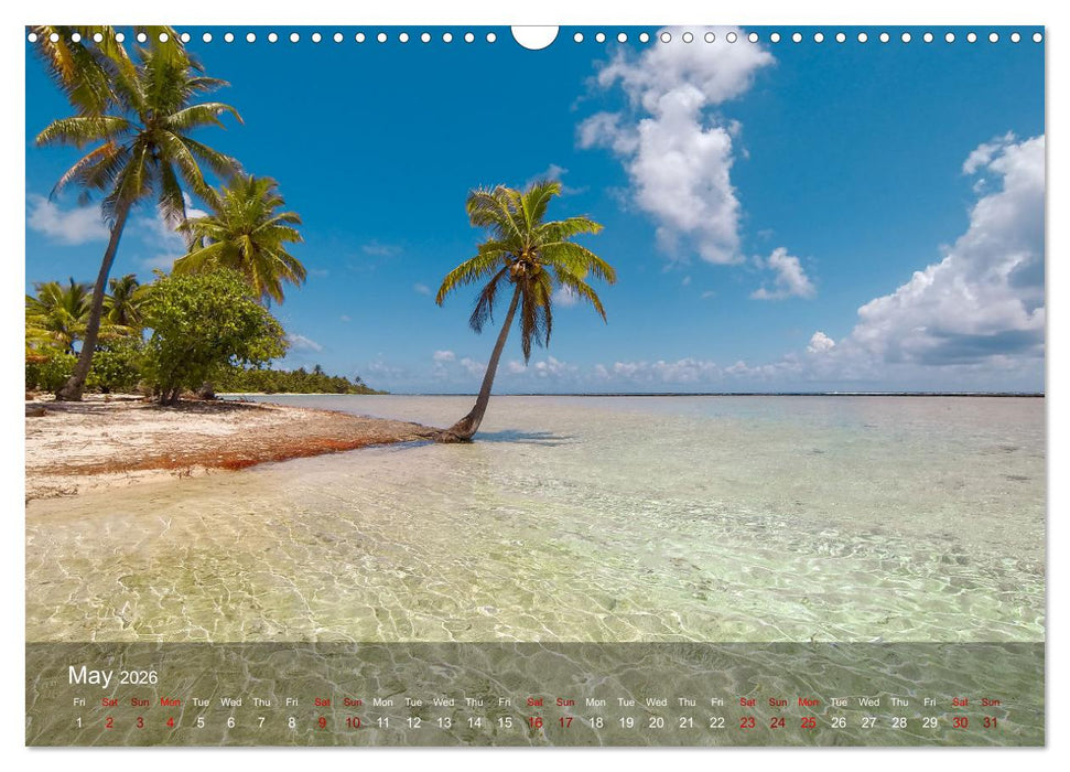 Dream Beaches worldwide (CALVENDO Monthly Calendar 2026)