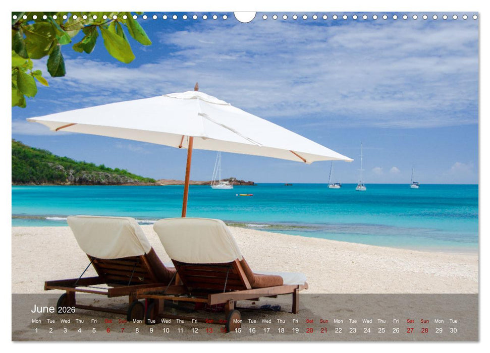 Dream Beaches worldwide (CALVENDO Monthly Calendar 2026)