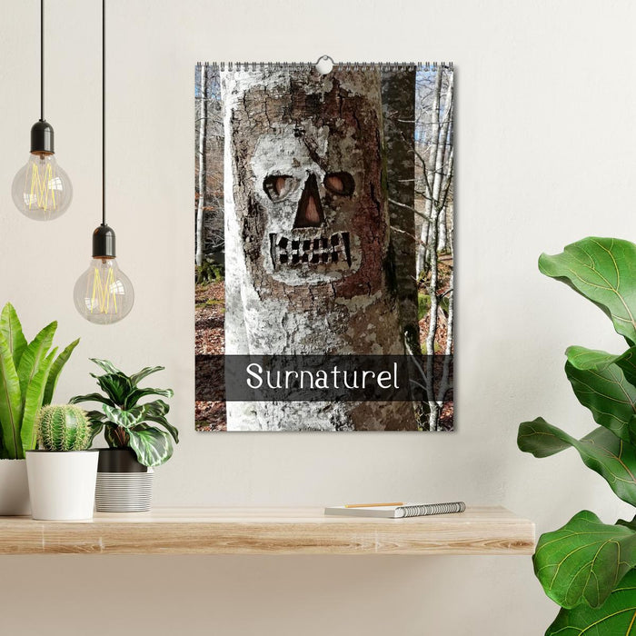 Surnaturel (CALVENDO Calendrier mensuel 2026)