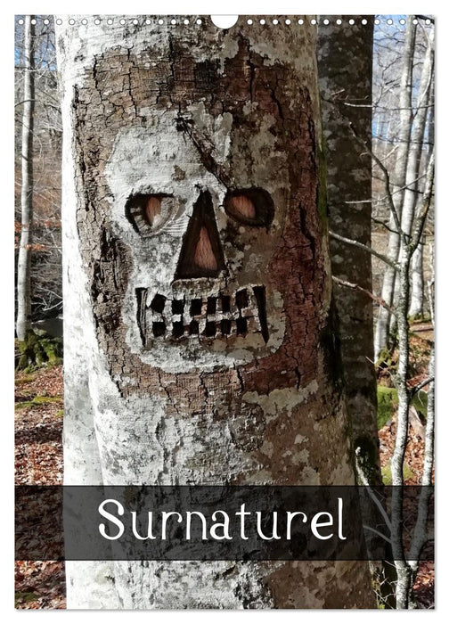 Surnaturel (CALVENDO Calendrier mensuel 2026)