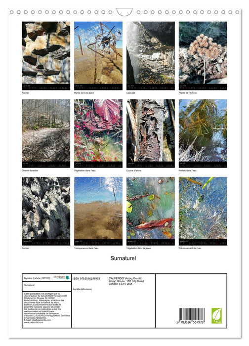 Surnaturel (CALVENDO Calendrier mensuel 2026)