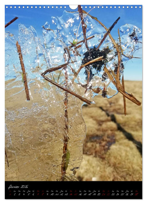 Surnaturel (CALVENDO Calendrier mensuel 2026)