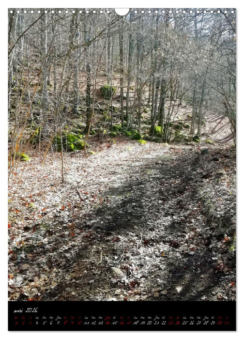 Surnaturel (CALVENDO Calendrier mensuel 2026)