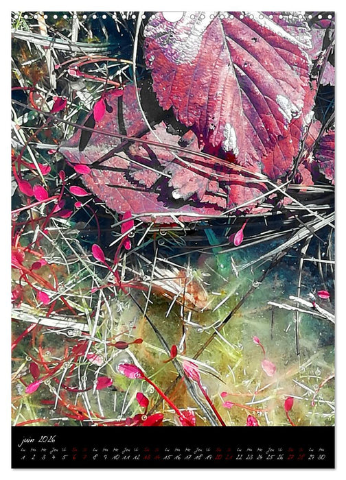 Surnaturel (CALVENDO Calendrier mensuel 2026)