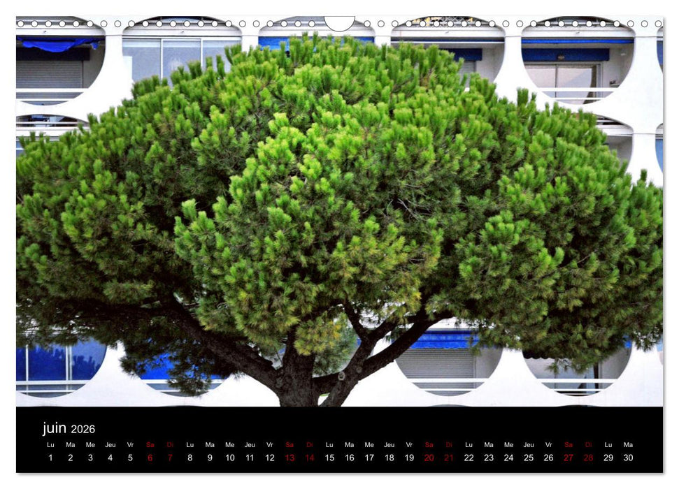 La Grande-Motte (CALVENDO Calendrier mensuel 2026)