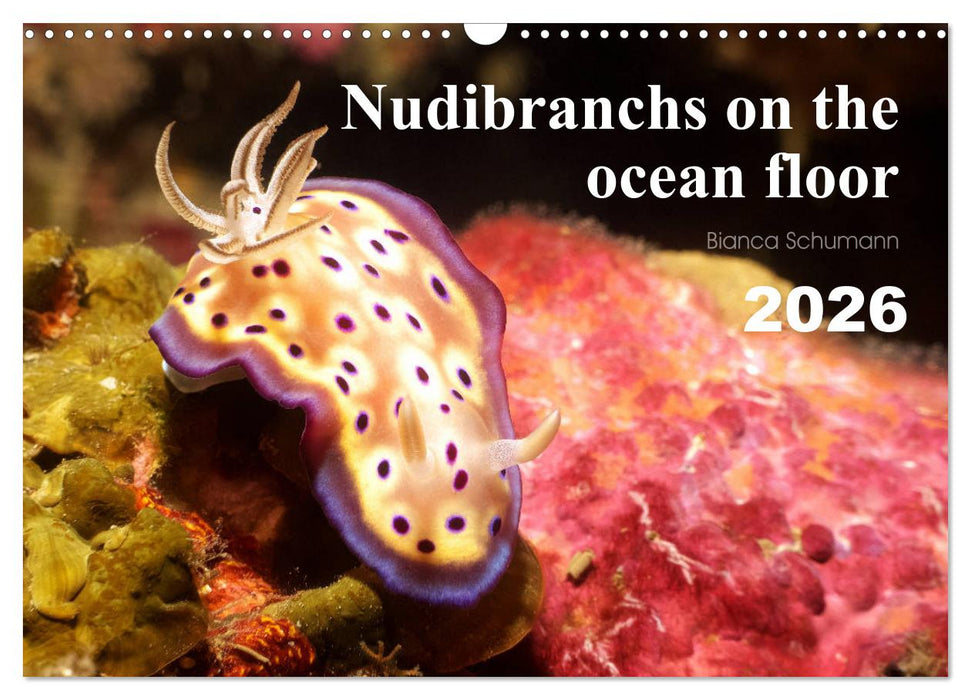 Nudibranchs on the ocean floor (CALVENDO Monthly Calendar 2026)