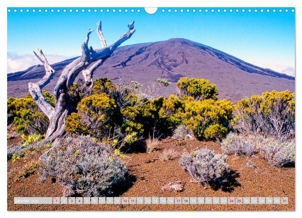 La Réunion, Au centre du volcan (CALVENDO Calendrier mensuel 2026)