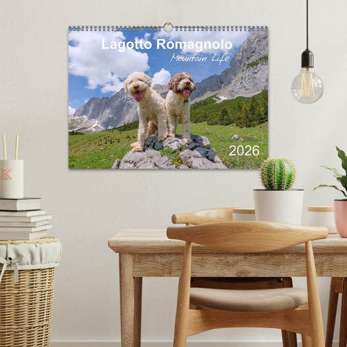 Lagotto Romagnolo Mountain Life (CALVENDO Monthly Calendar 2026)