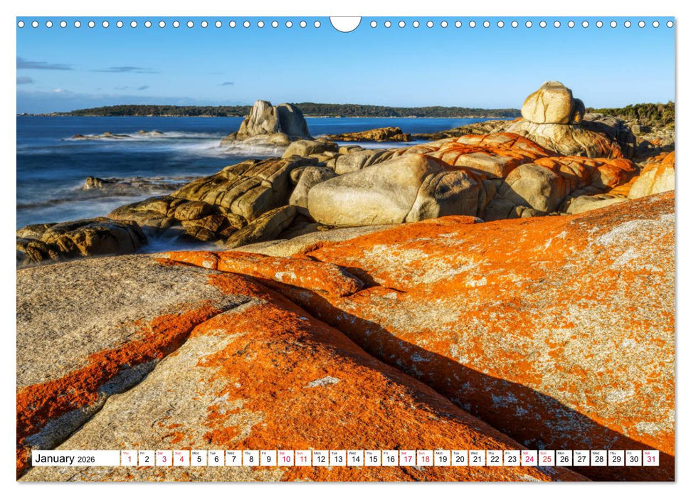 Tasmania Rainforest, waterfalls and rocky shores (CALVENDO Monthly Calendar 2026)