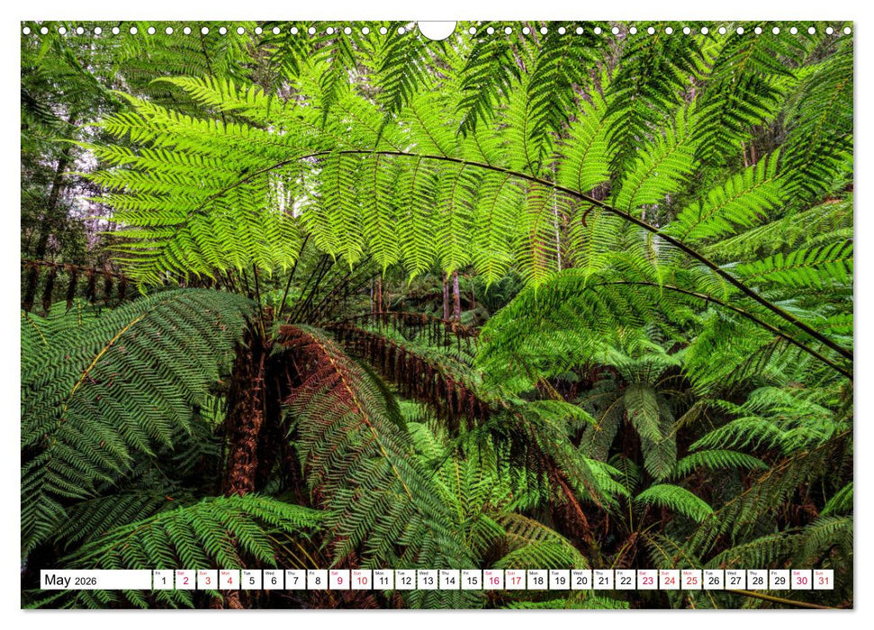 Tasmania Rainforest, waterfalls and rocky shores (CALVENDO Monthly Calendar 2026)