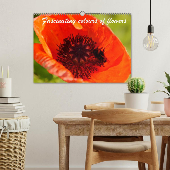 Fascinating colours of flowers (CALVENDO Monthly Calendar 2026)