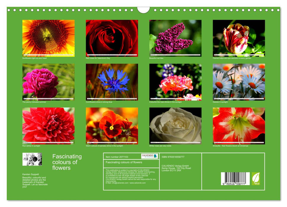 Fascinating colours of flowers (CALVENDO Monthly Calendar 2026)