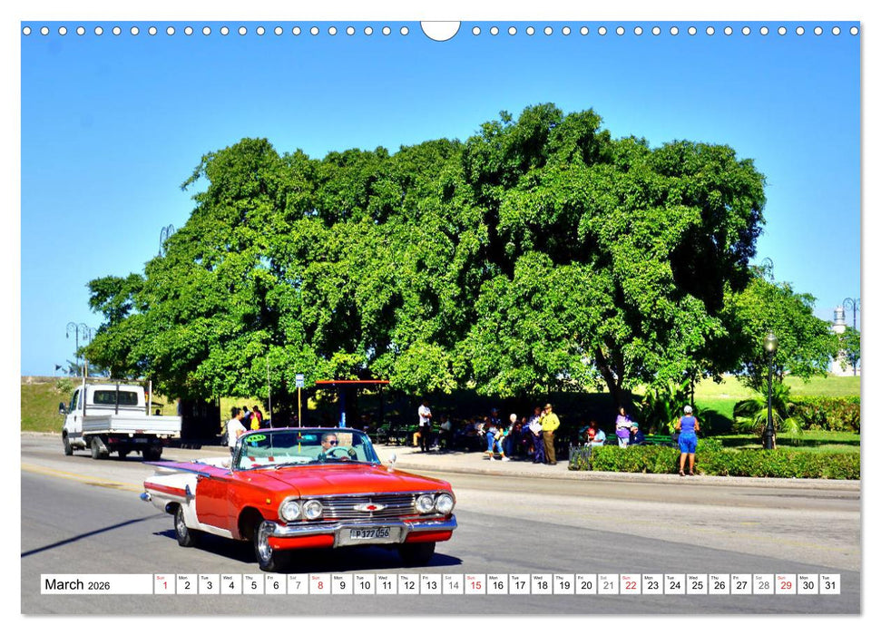 1960 Impala - The most spectacular Chevy (CALVENDO Monthly Calendar 2026)