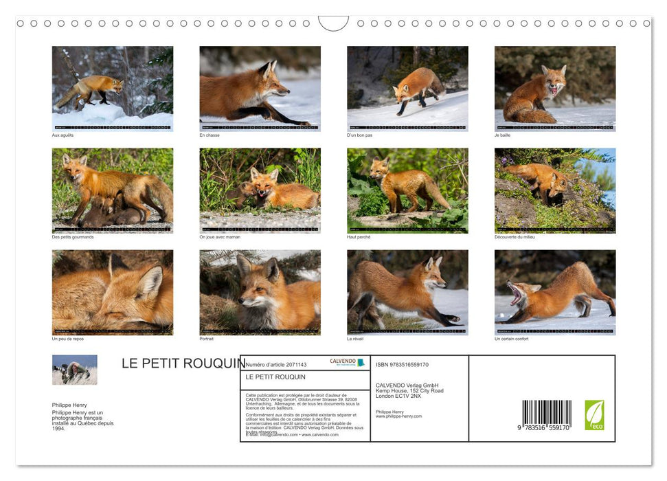 LE PETIT ROUQUIN (CALVENDO Calendrier mensuel 2026)