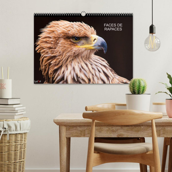 FACES DE RAPACES (CALVENDO Calendrier mensuel 2026)