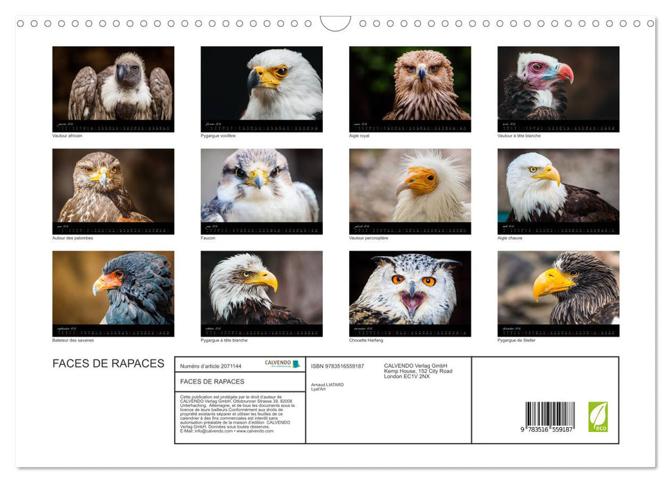 FACES DE RAPACES (CALVENDO Calendrier mensuel 2026)
