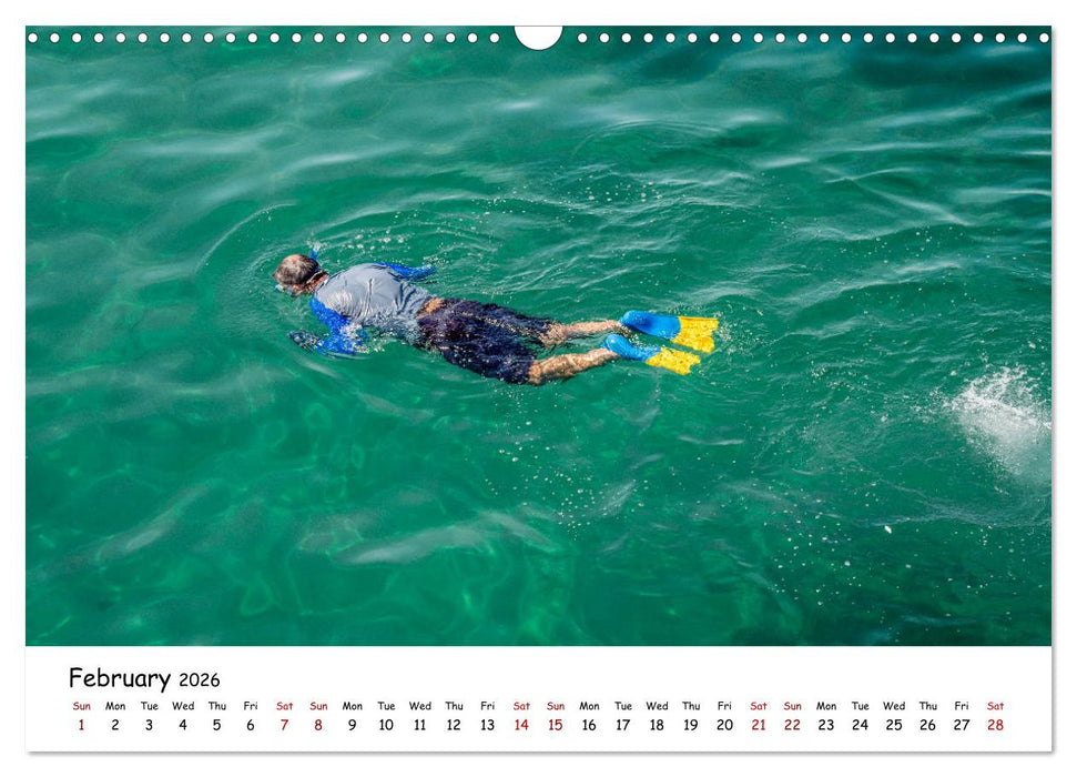 South Australia's Coastline (CALVENDO Monthly Calendar 2026)