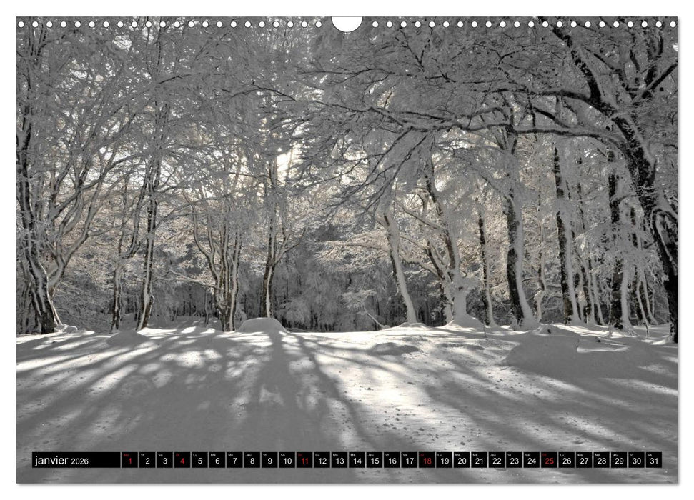 Collection Terre AUBRAC (CALVENDO Calendrier mensuel 2026)