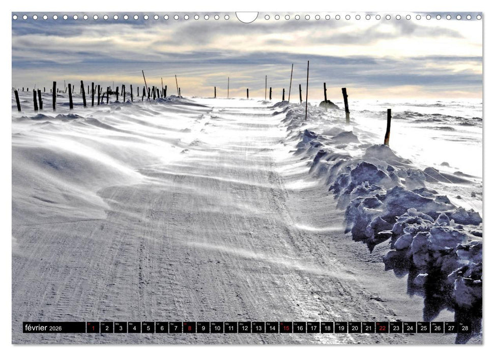 Collection Terre AUBRAC (CALVENDO Calendrier mensuel 2026)