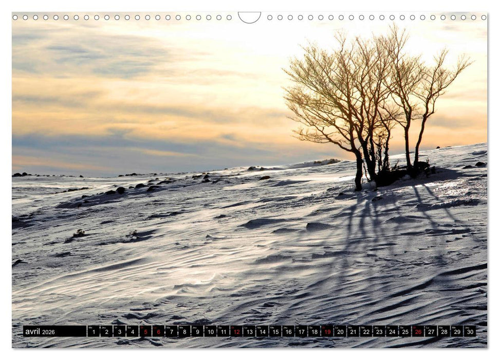 Collection Terre AUBRAC (CALVENDO Calendrier mensuel 2026)