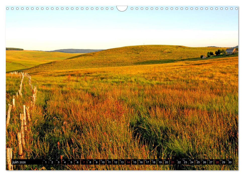 Collection Terre AUBRAC (CALVENDO Calendrier mensuel 2026)