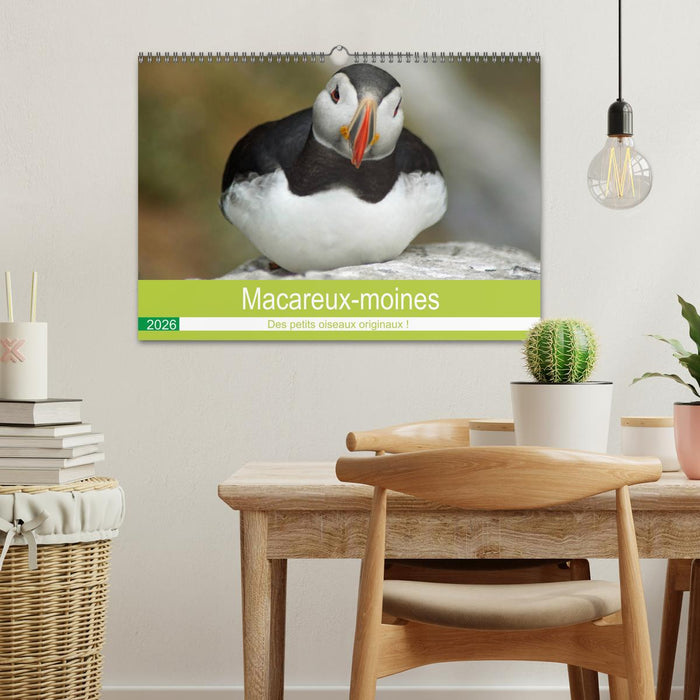 Macareux-moines 
Des petits oiseaux originaux! (CALVENDO Calendrier mensuel 2026)