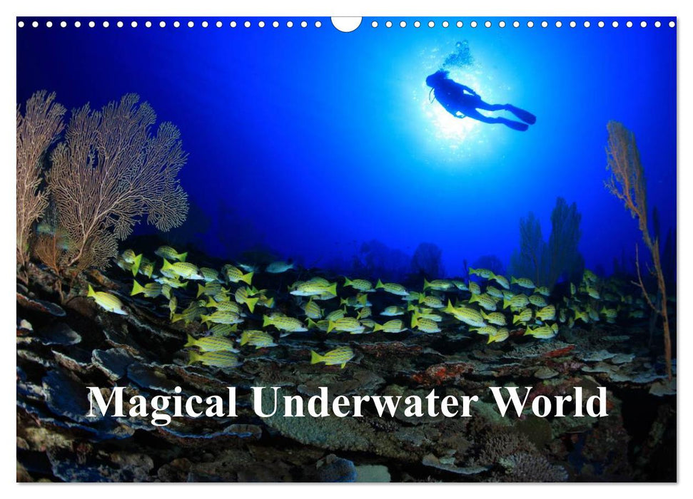 Magical Underwater World (CALVENDO Monthly Calendar 2026)