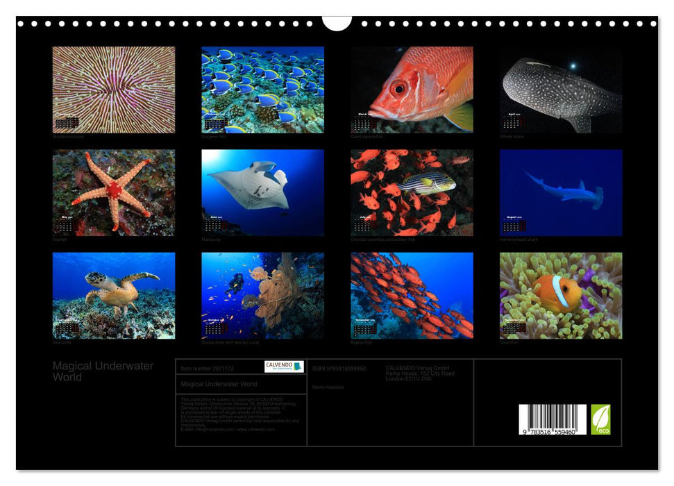 Magical Underwater World (CALVENDO Monthly Calendar 2026)