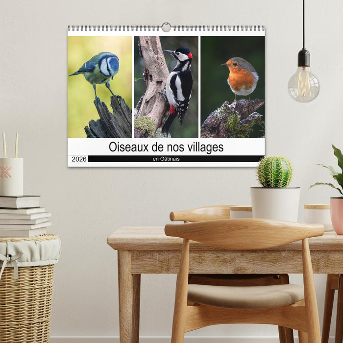 Oiseaux de nos villages en Gâtinais (CALVENDO Calendrier mensuel 2026)