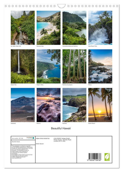 Beautiful Hawaii (CALVENDO Monthly Calendar 2026)