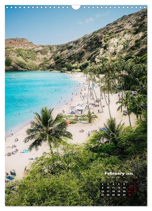 Beautiful Hawaii (CALVENDO Monthly Calendar 2026)