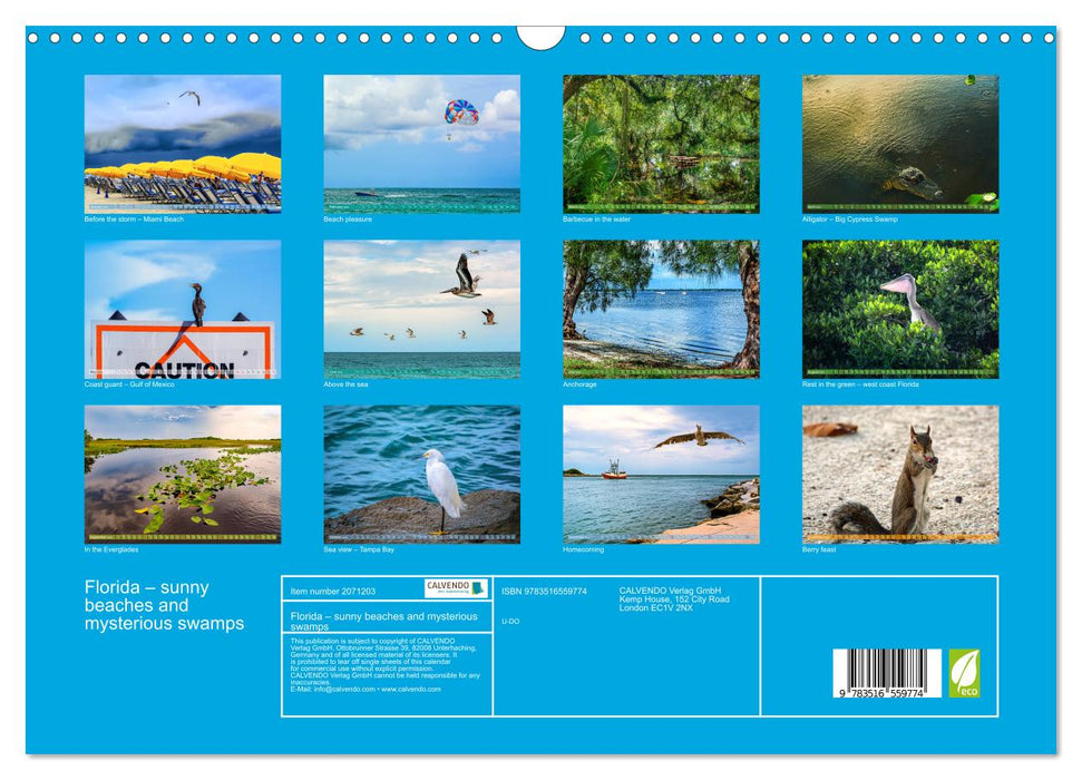 Florida – sunny beaches and mysterious swamps (CALVENDO Monthly Calendar 2026)