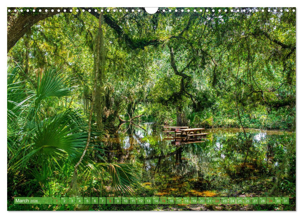 Florida – sunny beaches and mysterious swamps (CALVENDO Monthly Calendar 2026)