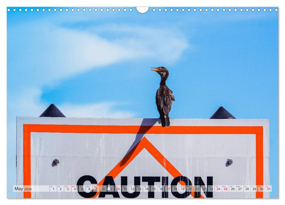 Florida – sunny beaches and mysterious swamps (CALVENDO Monthly Calendar 2026)